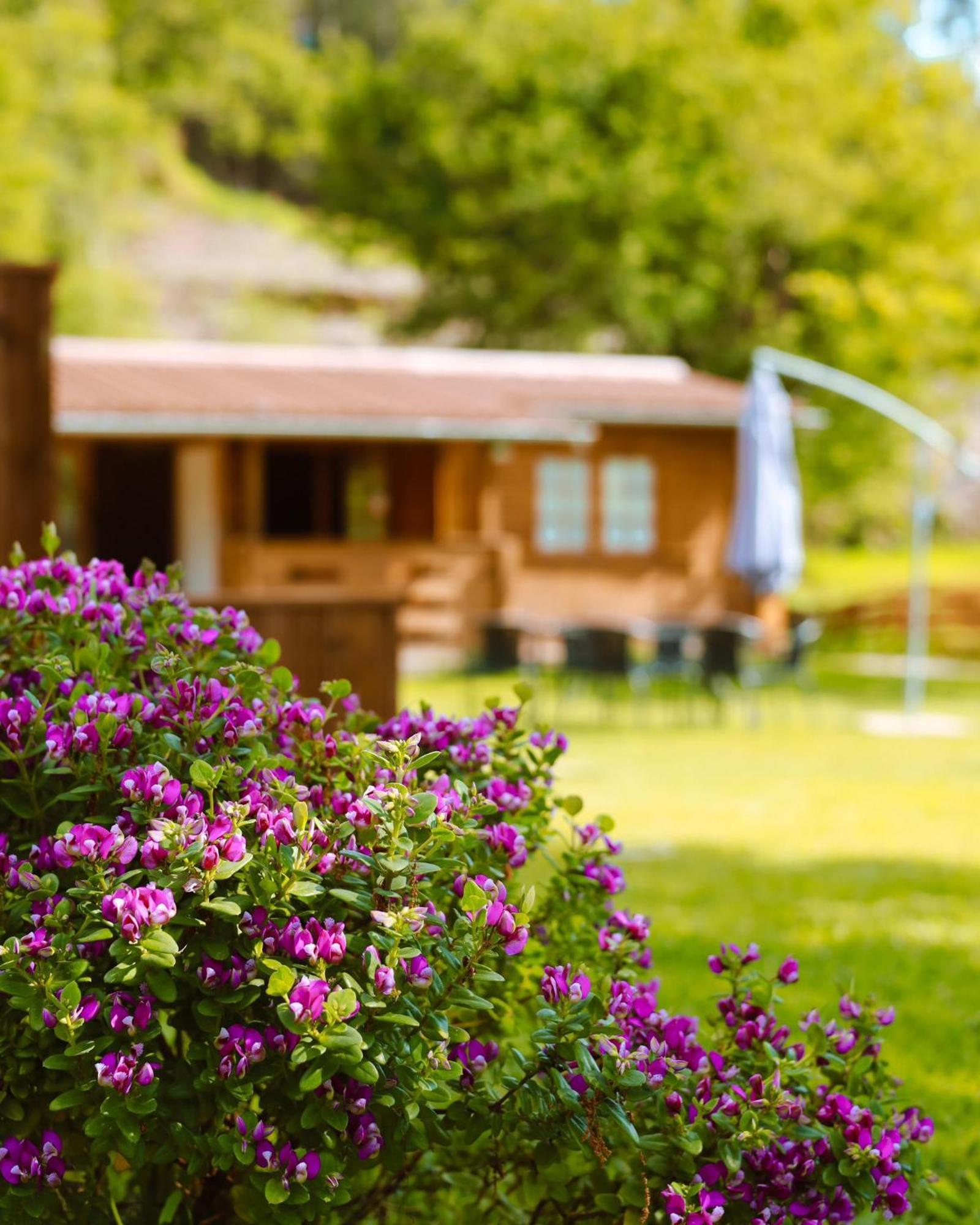 Ohana Geres House Ruivãis Dış mekan fotoğraf